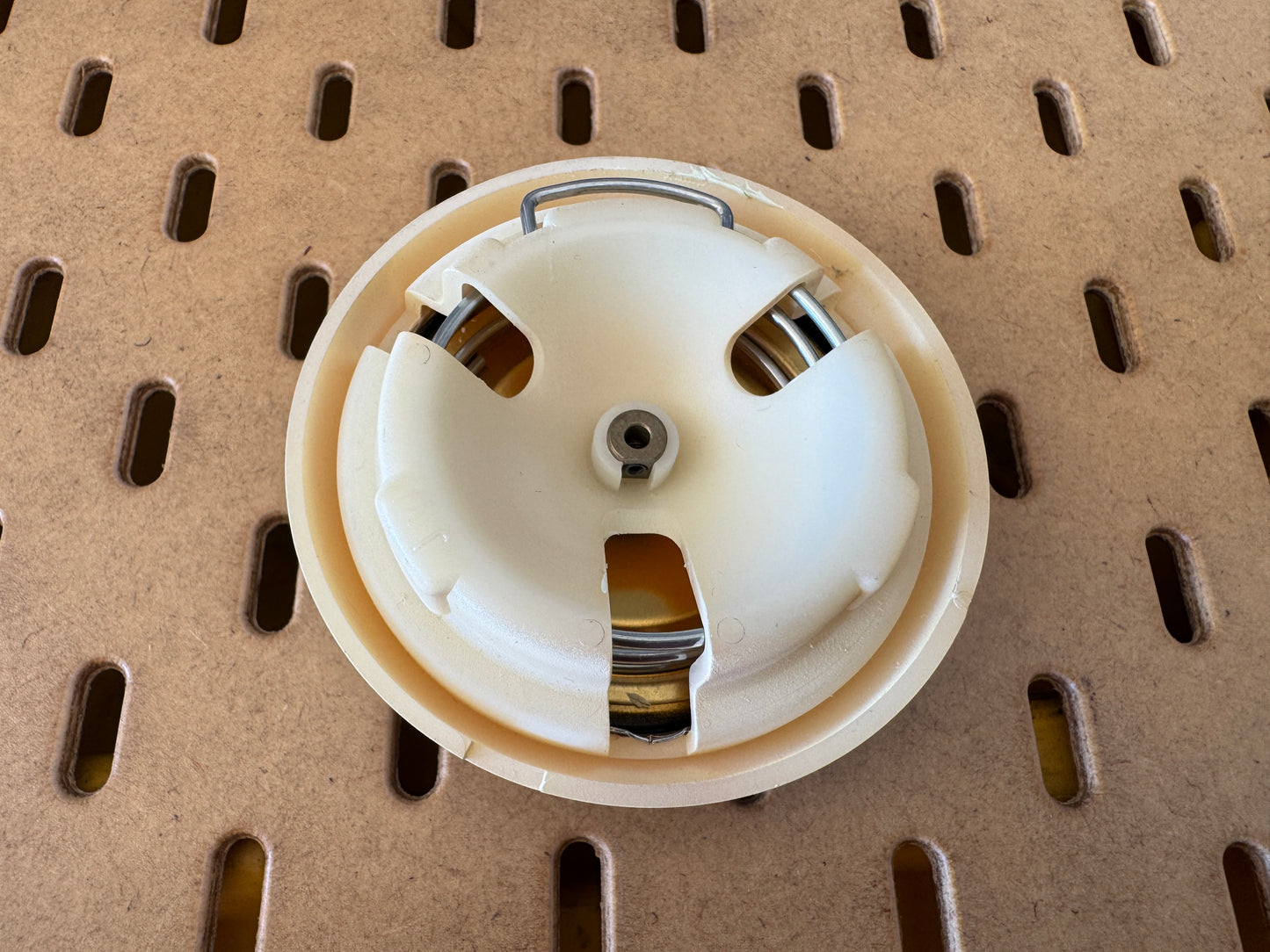 Early Style Wolfsburg Horn Button Ivory Gold