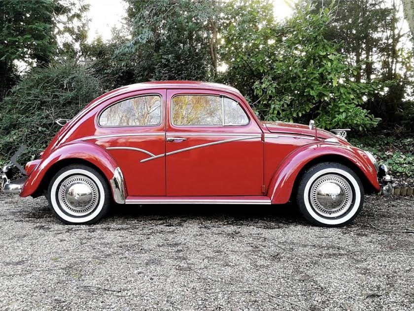 Australian Flash Trim for Beetle