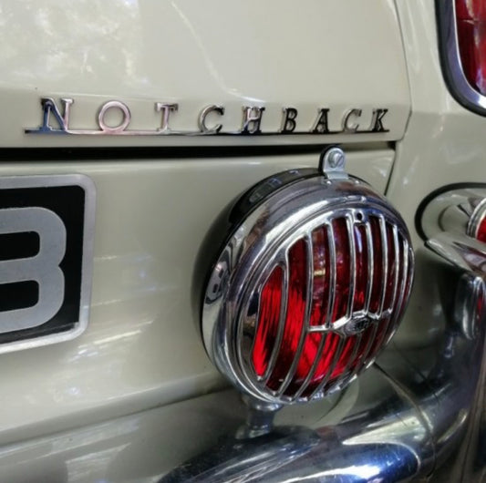 NOTCHBACK Stainless Steel Script